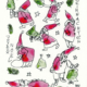 Renate Busse: Weihnachts-Postkarte "7 Tage Nikolaus"
